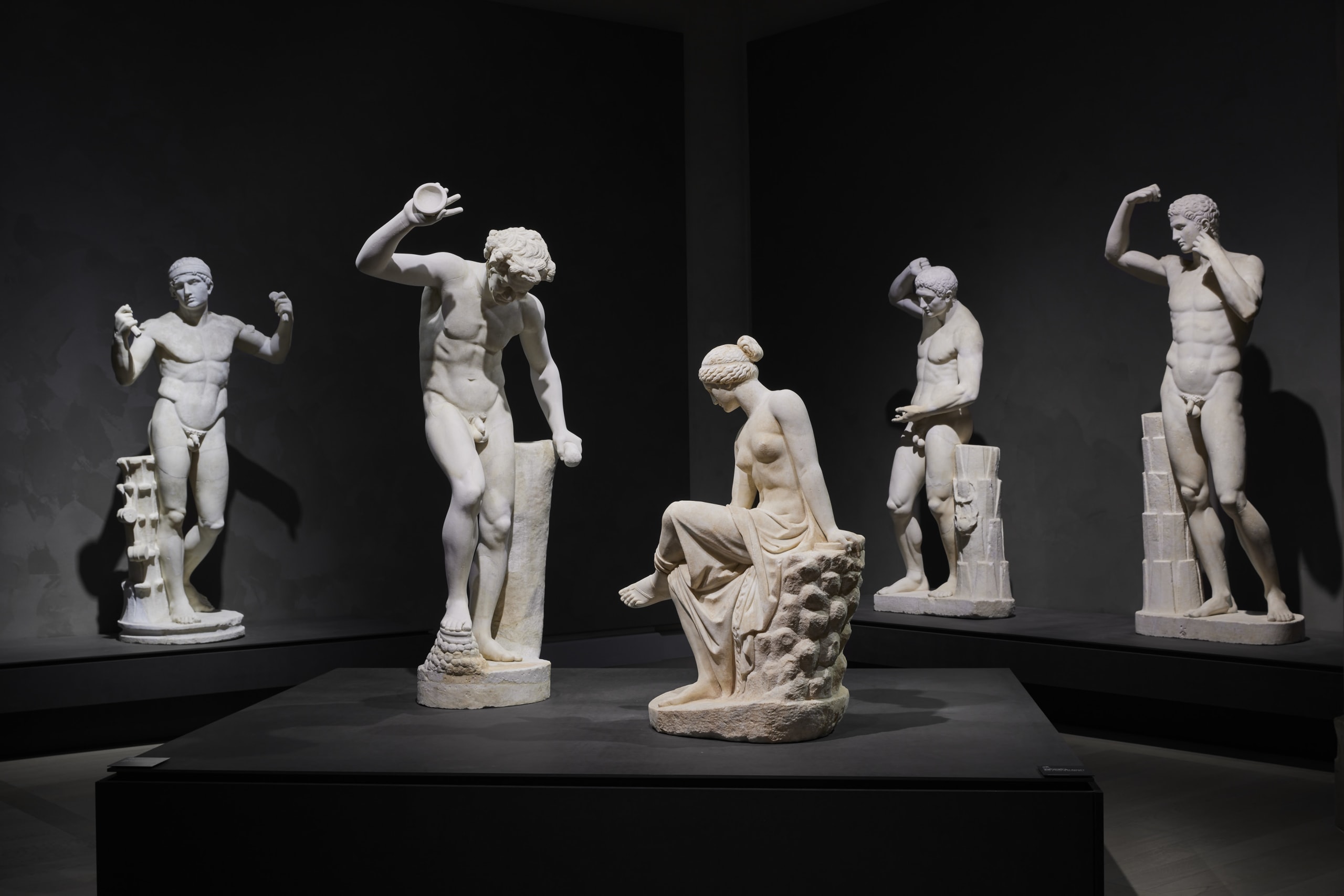 The Torlonia Marbles Fondazione Torlonia Alto Piano Studio